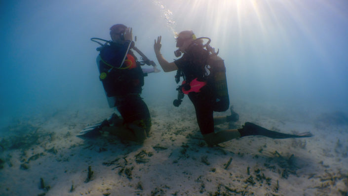 Maldives Scuba Diving Beginners