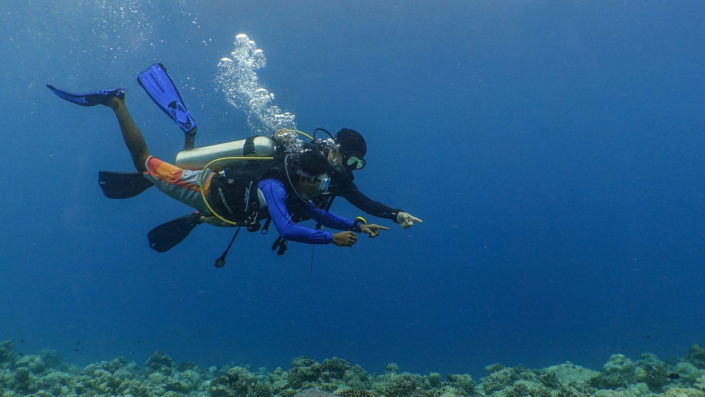 Learn to dive Maldives