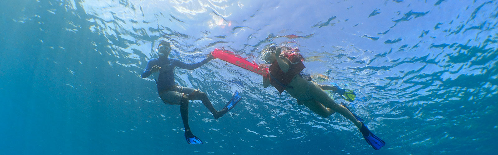 Snorkelling Maldives